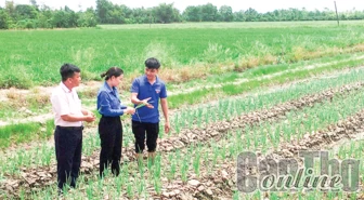 Hỗ trợ đoàn viên thanh niên phát triển kinh tế gia đình