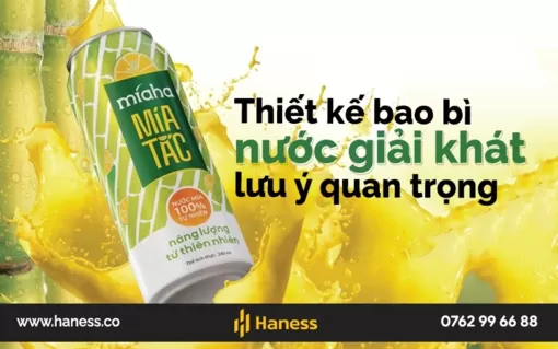 Haness Design có dịch vụ thiết kế bao bì sản phẩm giá cả tối ưu, chuyên nghiệp