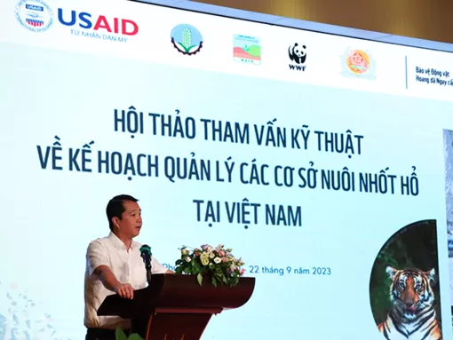Việt Nam đang nuôi nhốt gần 400 cá thể hổ