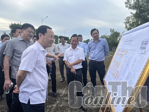 Phân chia không gian phát triển, quy hoạch sử dụng đất hợp lý để tăng hiệu quả kinh tế cho các dự án