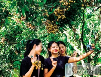 Kết nối quảng bá điểm đến, đặc sản địa phương