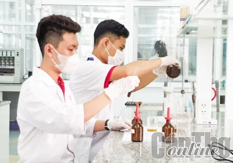 Vì mục tiêu đào tạo nguồn nhân lực chất lượng cao