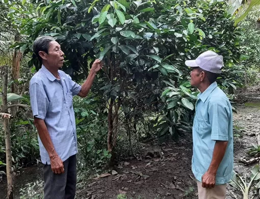 Dân vận khéo, việc gì cũng thành công