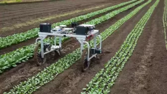 Nhật Bản hướng tới nông nghiệp thông minh