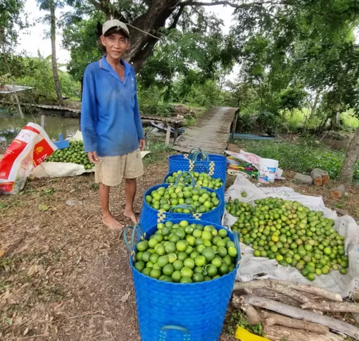 Dạo quanh thị trường