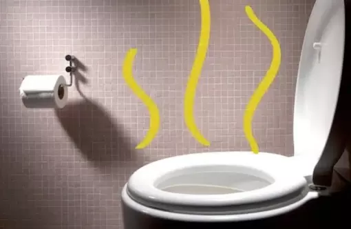 Hút bể phốt 94 - Công ty hút hầm cầu uy tín, giá rẻ