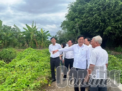Ðồng chí Phạm Văn Hiểu, Phó Bí thư Thường trực Thành ủy, Chủ tịch HÐND TP Cần Thơ, thăm một số mô hình sản xuất tiêu biểu ở Ô Môn