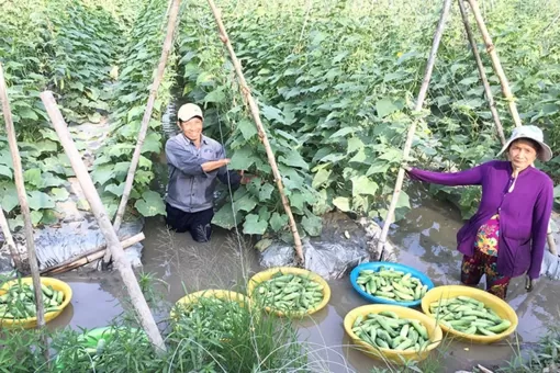 Cải thiện sinh kế, nâng cao chất lượng cuộc sống người nghèo