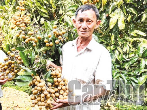 Hỗ trợ xây dựng nguồn nhân lực chất lượng cao cho hợp tác xã