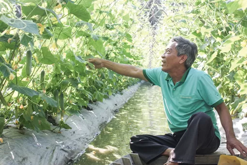Người cao tuổi với phong trào “Tuổi cao - Gương sáng”