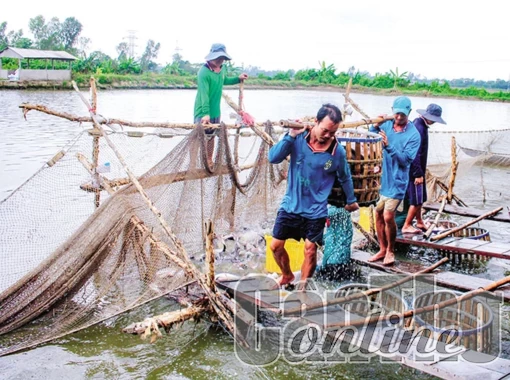 Chú trọng quan trắc môi trường