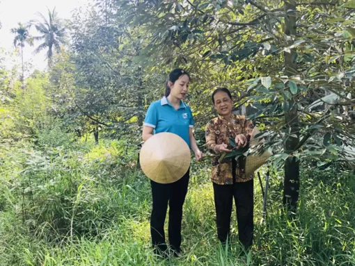 Tạo điều kiện giúp phụ nữ làm kinh tế