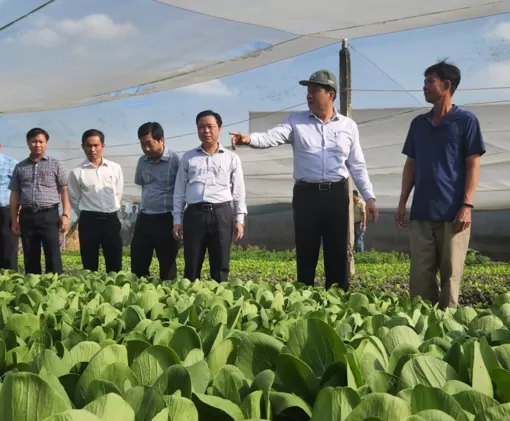 Tập trung nguồn lực, linh hoạt chuyển dịch kinh tế đúng hướng để đạt và vượt kế hoạch đề ra