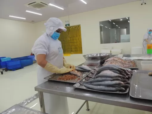 Sản xuất công nghiệp có tín hiệu phục hồi