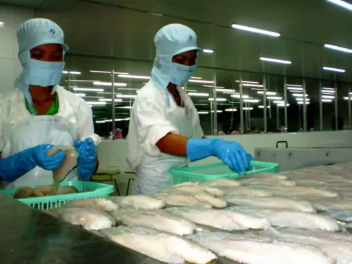Động lực tăng trưởng từ công nghiệp chế biến, chế tạo