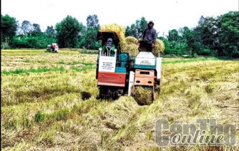 Giải pháp giảm khí nhà kính trong sản xuất nông nghiệp