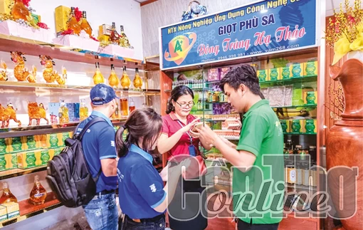 Phát triển du lịch gắn với tiêu thụ sản phẩm OCOP