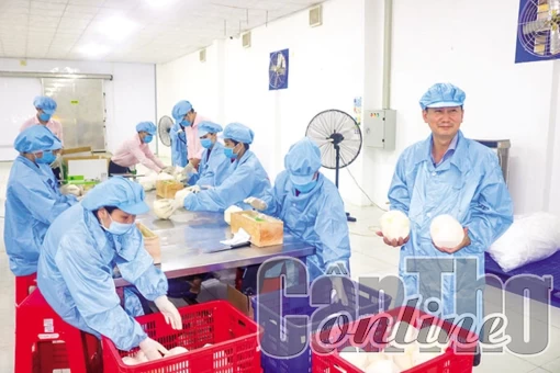 Nông lâm thủy sản duy trì xuất siêu ở mức cao