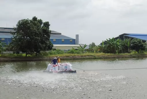 Thu hoạch gần 171.430 tấn thủy sản