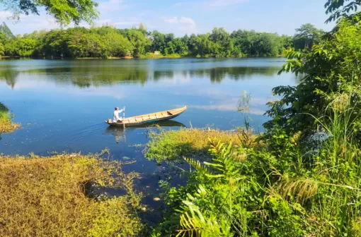 Kiên Giang: Khẩn trương bắt cá sấu sổng chuồng tại Công viên văn hóa An Hòa