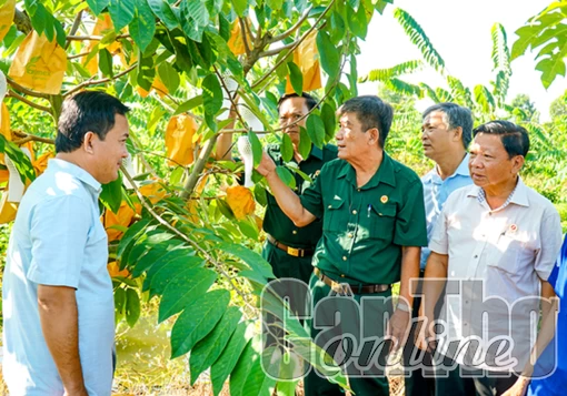 Hội Cựu chiến binh TP Cần Thơ tổ chức hội nghị đầu bờ ở xã Thới Hưng