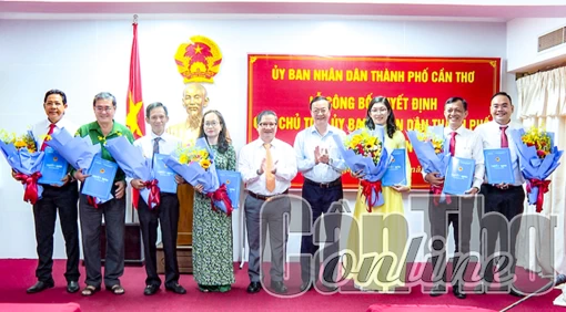 Nâng cao chất lượng công tác tổ chức xây dựng Đảng