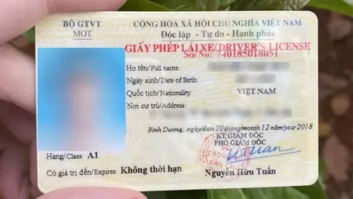 Chưa có quy định nào bắt buộc phải đổi giấy phép lái xe bản giấy sang thẻ nhựa