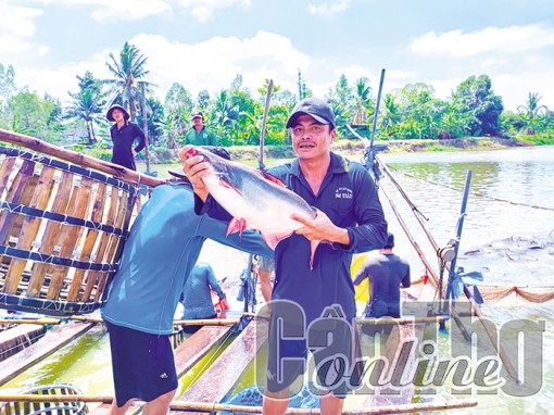 Cơ hội tăng xuất khẩu thủy sản những tháng cuối năm