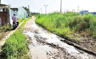 Sớm đầu tư đường giao thông sau kè sông Cần Thơ