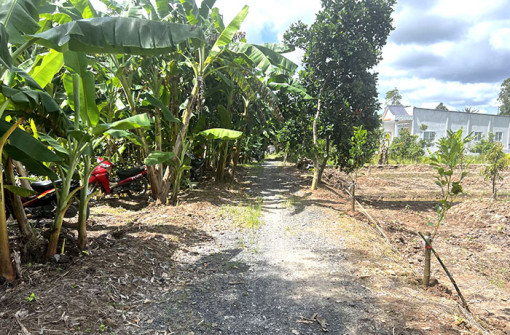 Mong sớm đầu tư xây dựng tuyến lộ giao thông nông thôn