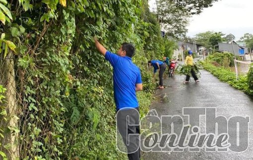 Phát huy vai trò đoàn viên, thanh niên trong đảm bảo an toàn giao thông