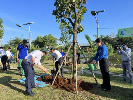 Nhân dân Cần Thơ hành động vì thành phố xanh - sạch - đẹp - an toàn