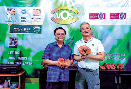 Thuật toán của The VOS