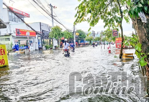 Triều cường rằm tháng 9 âm lịch bắt đầu lên cao