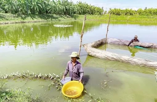 Sóc Trăng chuyển đổi, phát triển nghề nuôi thủy sản