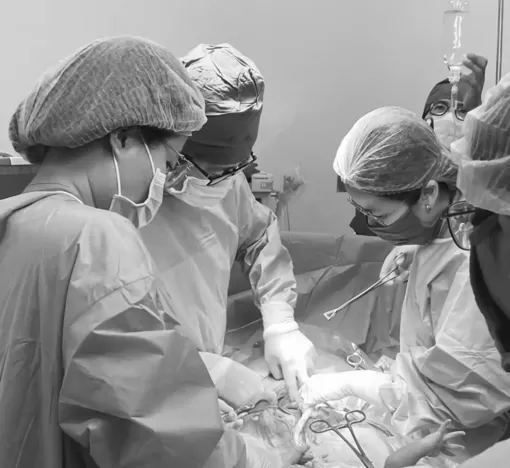 Hai bệnh viện phối hợp phẫu thuật thành công cho thai phụ mắc bệnh tim