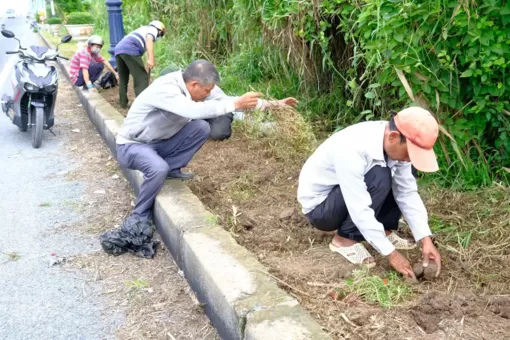 Xây dựng TP Cần Thơ xanh-sạch-đẹp