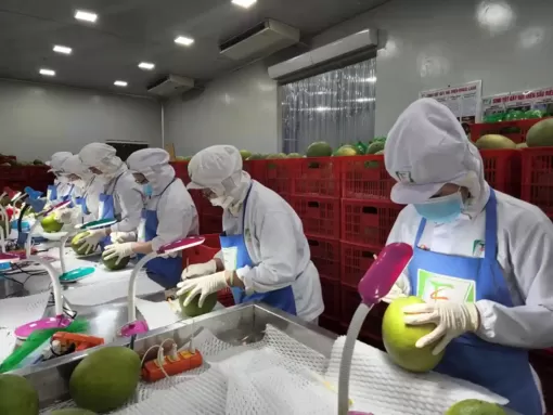 Nỗ lực không ngừng vì sự phát triển của đất Chín Rồng