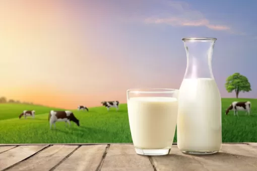 Trẻ bị tiêu chảy có uống sữa được không? Nên chọn sữa nào?