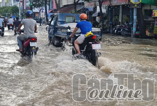 Triều cường lên cao và những hành động đẹp