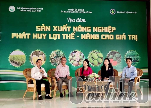 Tìm giải pháp phát huy lợi thế, nâng cao giá trị nông sản