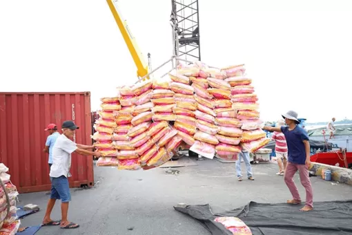 10 tháng qua Việt Nam đã xuất khẩu hơn 7,1 triệu tấn gạo