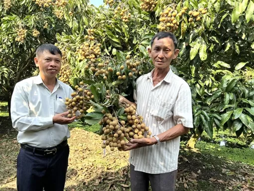 Lan tỏa phong trào nông dân sản xuất kinh doanh giỏi