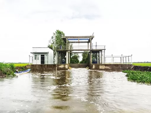 Chuyện về Hợp tác xã Khiết Tâm