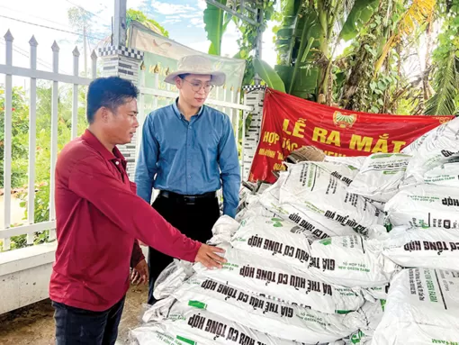 Hợp tác xã mở hướng đi mới