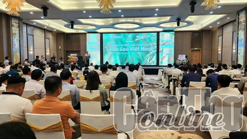 Bàn giải pháp nâng cao hiệu quả chuỗi giá trị lúa gạo Việt Nam