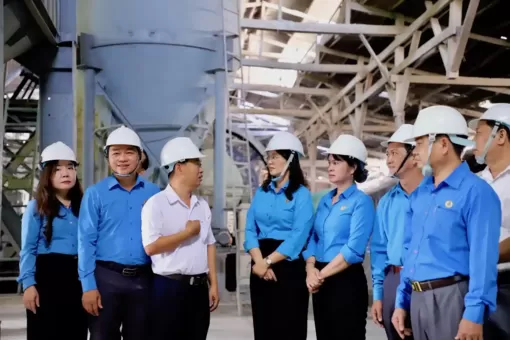 Nhiều hoạt động chào mừng kỷ niệm 20 năm TP Cần Thơ trực thuộc Trung ương