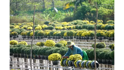 Hội thi ảnh nghệ thuật “Sa Đéc Tình Đất - Tình hoa”
