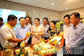 Sớm phát triển Phong Điền thành đô thị theo định hướng mới của thành phố