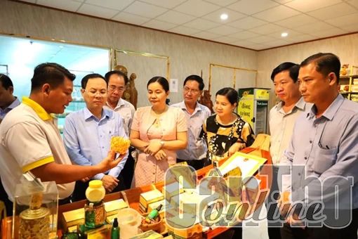 Sớm phát triển Phong Điền thành đô thị theo định hướng mới của thành phố